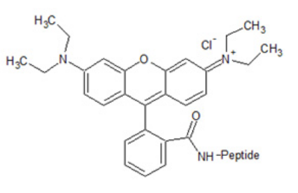 Rhodamine B (羧基四甲基罗丹明B)