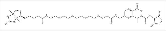 cas:2055198-03-1 PC-Biotin-PEG4-NHS carbonate