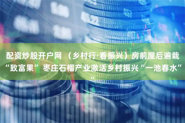 配资炒股开户网 （乡村行·看振兴）房前屋后遍栽“致富果” 枣庄石榴产业激活乡村振兴“一池春水”
