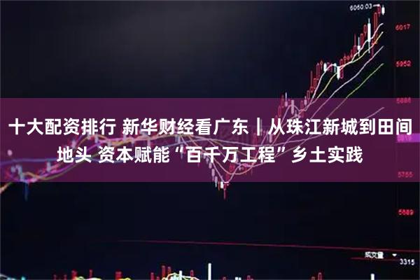 十大配资排行 新华财经看广东｜从珠江新城到田间地头 资本赋能“百千万工程”乡土实践