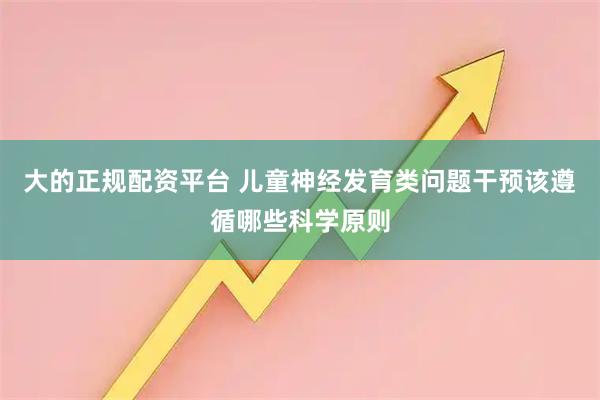 大的正规配资平台 儿童神经发育类问题干预该遵循哪些科学原则